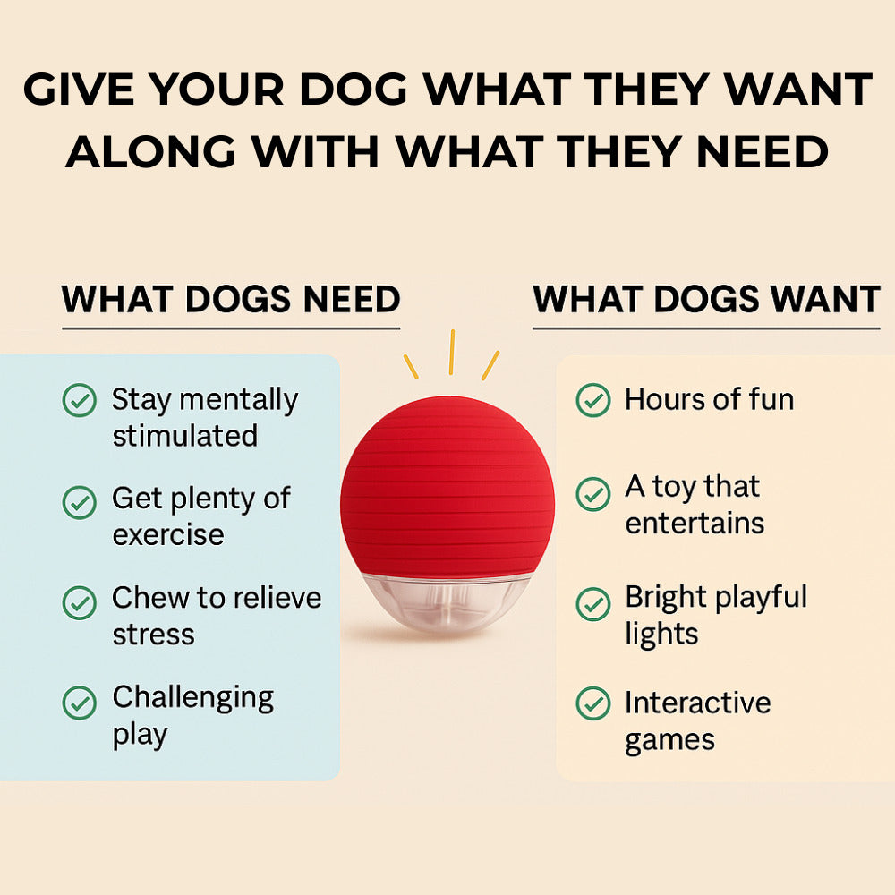 PawPath™ Smart Interactive Dog Toy