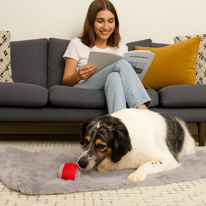 PawPath™ Smart Interactive Dog Toy