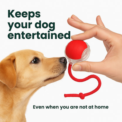 PawPath™ Smart Interactive Dog Toy