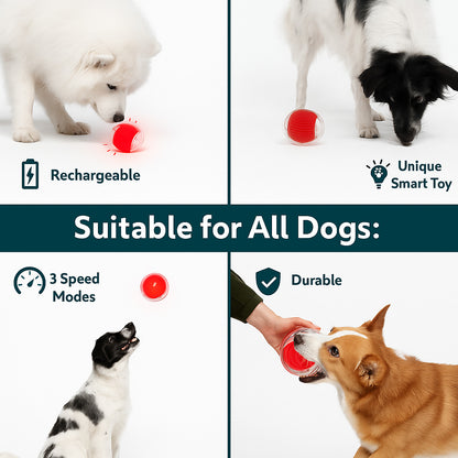 PawPath™ Smart Interactive Dog Toy
