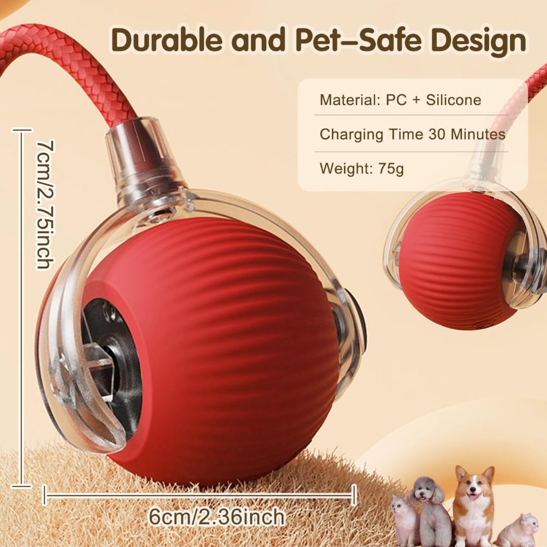 PawPath™ Smart Interactive Dog Toy